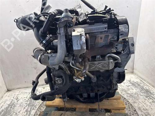 Engine VW GOLF VI (5K1) 1.6 TDI | BP38428098M1 - Image 3