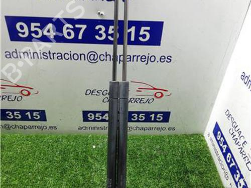 tailgate-lift-support-rover-25-i-hatchback-rf-1999-2000-2001-2002-2003-2004-2005-2006-31891966 main image