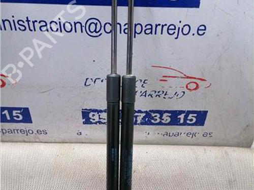 tailgate-lift-support-renault-megane-ii-bm01_-cm01_-2001-2002-2003-2004-2005-2006-2007-2008-2009-2010-2011-2012-31893453 main image