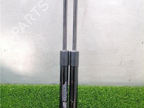 tailgate-lift-support-hyundai-ioniq-ae-2016-2017-2018-2019-2020-2021-2022-2023-32253715 main image