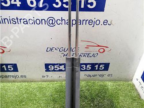 tailgate-lift-support-renault-megane-i-ba01_-1995-1996-1997-1998-1999-2000-2001-2002-2003-2004-31892608 main image