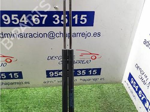 tailgate-lift-support-ford-focus-c-max-dm2-2003-2004-2005-2006-2007-31892431 main image