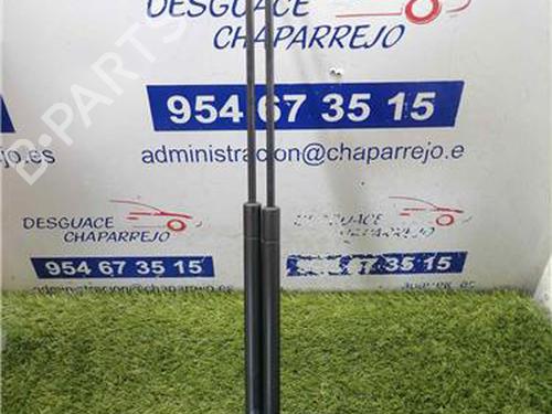 hood-lift-support-peugeot-306-7b-n3-n5-1993-1994-1995-1996-1997-1998-1999-2000-2001-2002-2003-31890712 main image