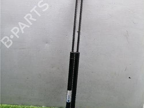 Used Tailgate lift support Tailgate lift support PEUGEOT 207 (WA_, WC_) 1.4 HDi (68 hp) 34106003 34106003