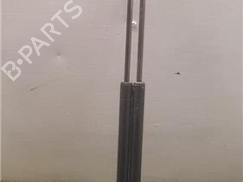 tailgate-lift-support-renault-koleos-i-hy_-2008-31894164 main image