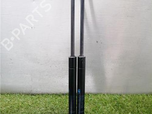 Used Tailgate lift support Tailgate lift support RENAULT CLIO II (BB_, CB_) 1.2 16V (BB05, BB0W, BB11, BB27, BB2T, BB2U, BB2V, CB05,... (75 hp) 36453057 36453057
