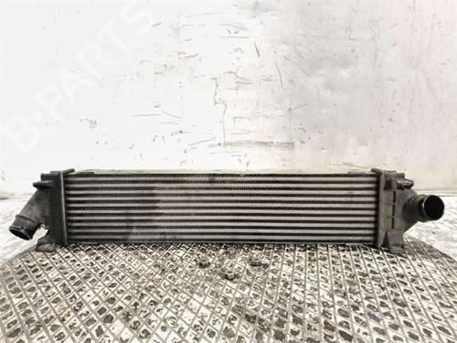 Used Intercooler Intercooler FORD KUGA I 2.0 TDCi (136 hp) 40025441 40025441
