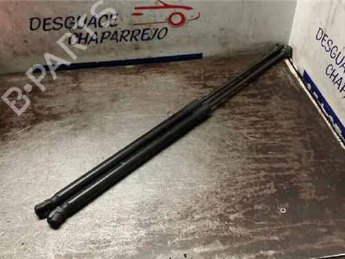 Gasdæmper bagklap OPEL CORSA D (S07) 1.3 CDTI (L08, L68) (75 hp) 31891170