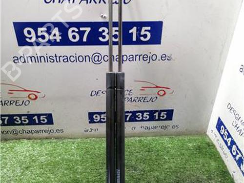 tailgate-lift-support-rover-25-i-hatchback-rf-1999-2000-2001-2002-2003-2004-2005-2006-31892545 main image