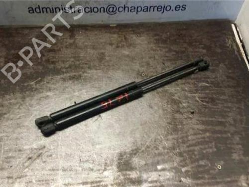 tailgate-lift-support-renault-clio-ii-bb_-cb_-1998-1999-2000-2001-2002-2003-2004-2005-2006-2007-2008-2009-2010-2011-2012-2013-2014-2015-2016-31891053 main image