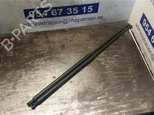 hood-lift-support-peugeot-306-7b-n3-n5-1993-1994-1995-1996-1997-1998-1999-2000-2001-2002-2003-31888978 main image