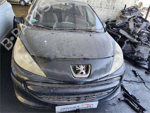 Brugte PEUGEOT 207 (WA_, WC_) 1.4 4819415