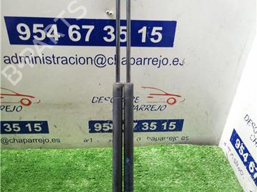 tailgate-lift-support-renault-scenic-ii-jm01_-2003-2004-2005-2006-2007-2008-2009-2010-31892686 main image