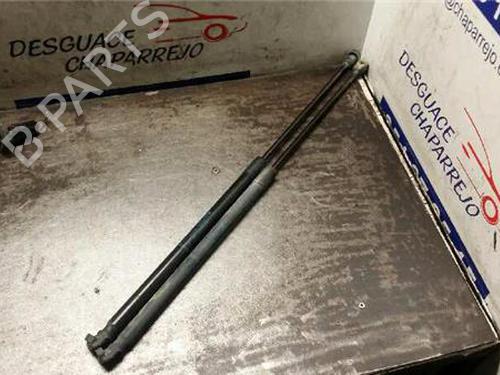 Gasdæmper bagklap OPEL CORSA D (S07) 1.3 CDTI (L08, L68) (75 hp) 31891154