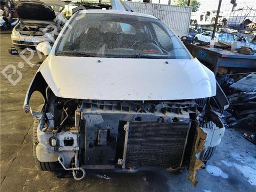 Brugte PEUGEOT 207 (WA_, WC_)  1.4 HDi  4612683