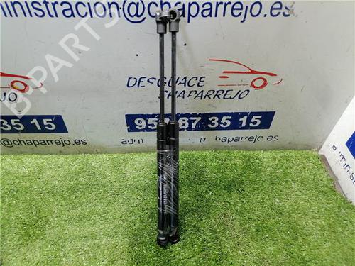 tailgate-lift-support-chevrolet-captiva-c100-c140-2006-31892579 main image