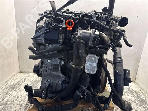 Used Engine Engine 38428098 38428098