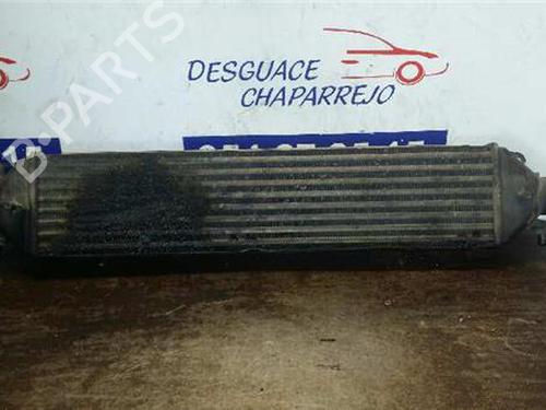 Intercooler FIAT GRANDE PUNTO (199_) 1.9 D Multijet (130 hp) 31894653