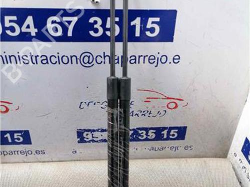 tailgate-lift-support-chevrolet-captiva-c100-c140-2006-31893481 main image