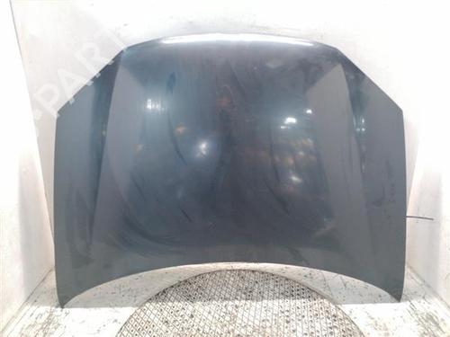 Used Hood Hood VW GOLF V Variant (1K5) 1.9 TDI (105 hp) 33860198 33860198