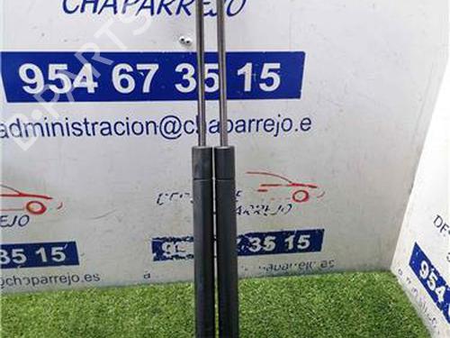 tailgate-lift-support-renault-megane-ii-estate-km01_-2003-2004-2005-2006-2007-2008-2009-2010-2011-2012-31893817 main image