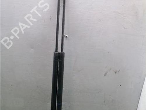 tailgate-lift-support-renault-scenic-ii-jm01_-2003-2004-2005-2006-2007-2008-2009-2010-32253784 main image