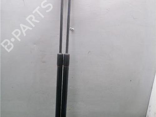 tailgate-lift-support-suzuki-swift-iv-fz-nz-2010-33278603 main image