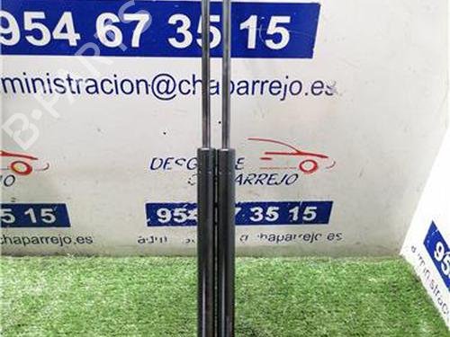 tailgate-lift-support-peugeot-206-hatchback-2ac-1998-1999-2000-2001-2002-2003-2004-2005-2006-2007-2008-2009-2010-2011-2012-31892559 main image