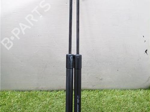 Used Tailgate lift support CITROËN C3 II (SC_) 1.0 VTi 68 (68 hp) 31935412