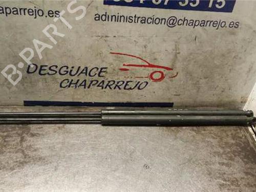 Gasdæmper bagklap RENAULT CLIO I (B/C57_, 5/357_) 1.4 (B/C57T, B/C57Y) (79 hp) 31891230