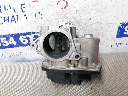 Egr VW PASSAT B6 (3C2) 2.0 TDI | BP31900006M69