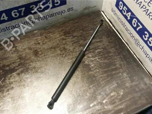 hood-lift-support-renault-twingo-i-c06_-1993-1994-1995-1996-1997-1998-1999-2000-2001-2002-2003-2004-2005-2006-2007-2008-2009-2010-2011-2012-31888992 main image