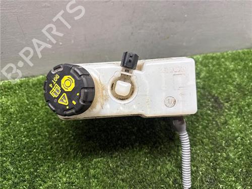 Steering pump RENAULT CLIO IV (BH_) 0.9 TCe 75 (BHNP) | BP32457303M99