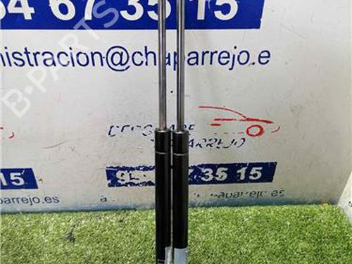 tailgate-lift-support-suzuki-sx4-ey-gy-2006-31893671 main image