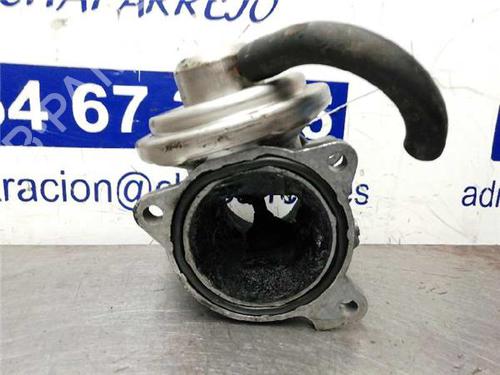 Egr SKODA FABIA II Combi (545) 1.4 TDI | BP31896616M69