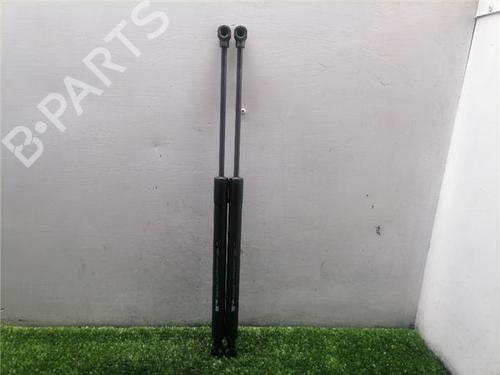 tailgate-lift-support-renault-clio-iv-bh_-2012-2013-2014-2015-2016-2017-2018-2019-2020-2021-33248950 main image