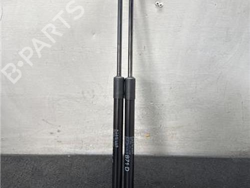 Used Tailgate lift support CITROËN C4 II (NC_) 1.2 THP 110 (NCHNZ6, NCHNV6) (110 hp) 31894371