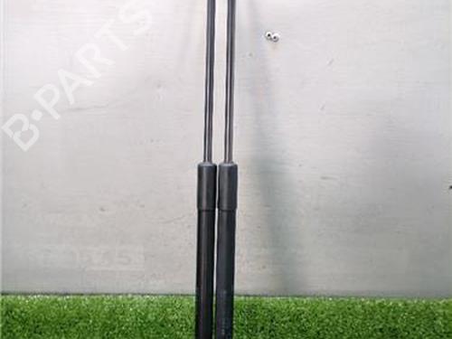 tailgate-lift-support-dacia-sandero-2008-33478401 main image