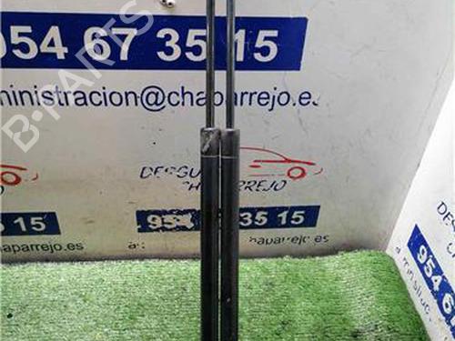 tailgate-lift-support-bmw-x5-e53-2000-2001-2002-2003-2004-2005-2006-31893075 main image