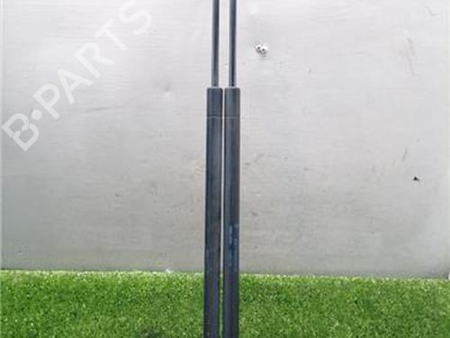 Used Tailgate lift support Tailgate lift support FORD FIESTA V (JH_, JD_) 1.4 TDCi (68 hp) 34105918 34105918