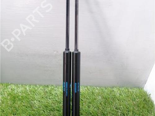 tailgate-lift-support-renault-megane-iii-hatchback-bz01_-b3_-2008-33278476 main image