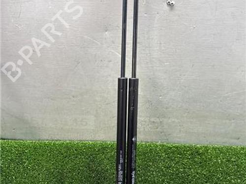 tailgate-lift-support-citroen-c5-ii-rc_-2004-2005-2006-2007-2008-32768471 main image