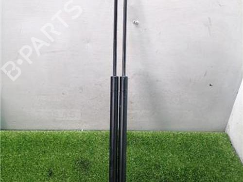 tailgate-lift-support-nissan-juke-f15-2010-2011-2012-2013-2014-2015-2016-2017-2018-2019-33969985 main image