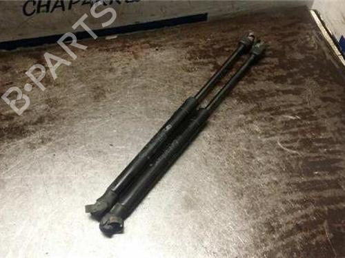 Used Tailgate lift support RENAULT MEGANE II (BM0/1_, CM0/1_) 1.5 dCi (BM02, BM13, BM2A, CM02, CM13) (101 hp) 31891140
