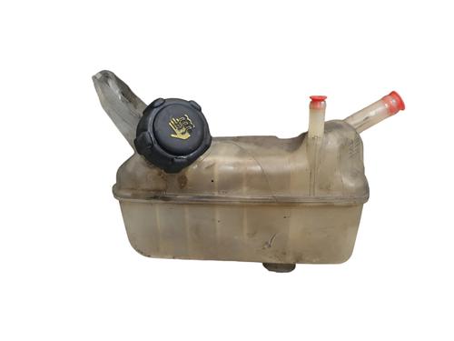 Used Expansion tank RENAULT MEGANE II (BM0/1_, CM0/1_) [2001-2012]  32047833