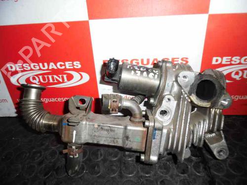 Egr RENAULT SCÉNIC II (JM0/1_) [2003-2010]  32055244