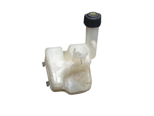 Used Expansion tank RENAULT LAGUNA II (BG0/1_) 3.0 V6 24V (BG01, BG02, BG0D, BG0Y) (207 hp) 32047345