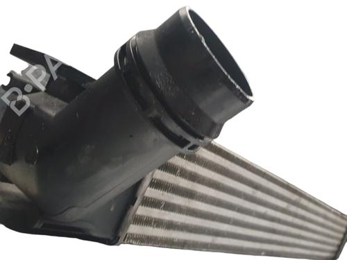 Intercooler RENAULT SCÉNIC III (JZ0/1_) | BP32052007M30