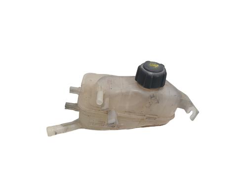 Used Expansion tank RENAULT MEGANE III Hatchback (BZ0/1_, B3_) 1.9 dCi (BZ0N, BZ0J) (131 hp) 32047696