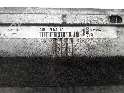 Intercooler FORD TOURNEO COURIER B460 MPV | BP32055831M30